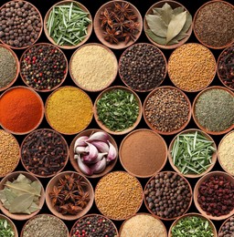 Image of Collection of different aromatic spices and herbs on black background, flat lay