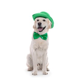 Image of St. Patrick's day celebration. Cute Golden Retriever dog with green hat and bow tie isolated on white