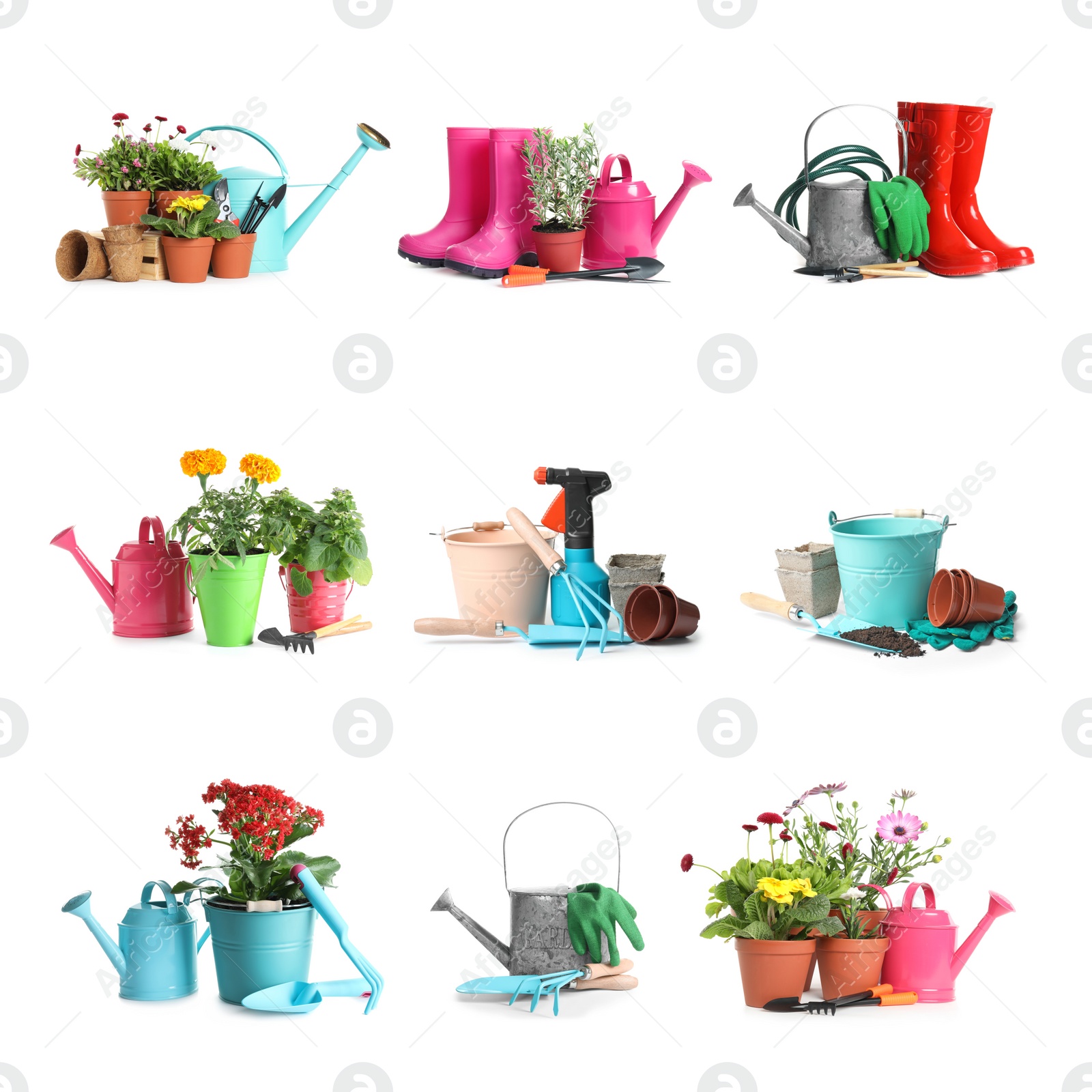Image of Set with different gardening tools and plants on white background 