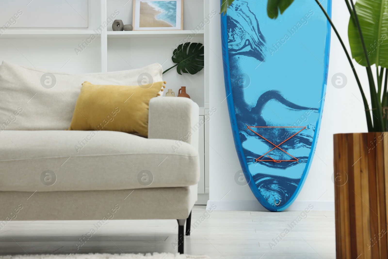 Photo of SUP board, stylish sofa and houseplant in room. Interior design