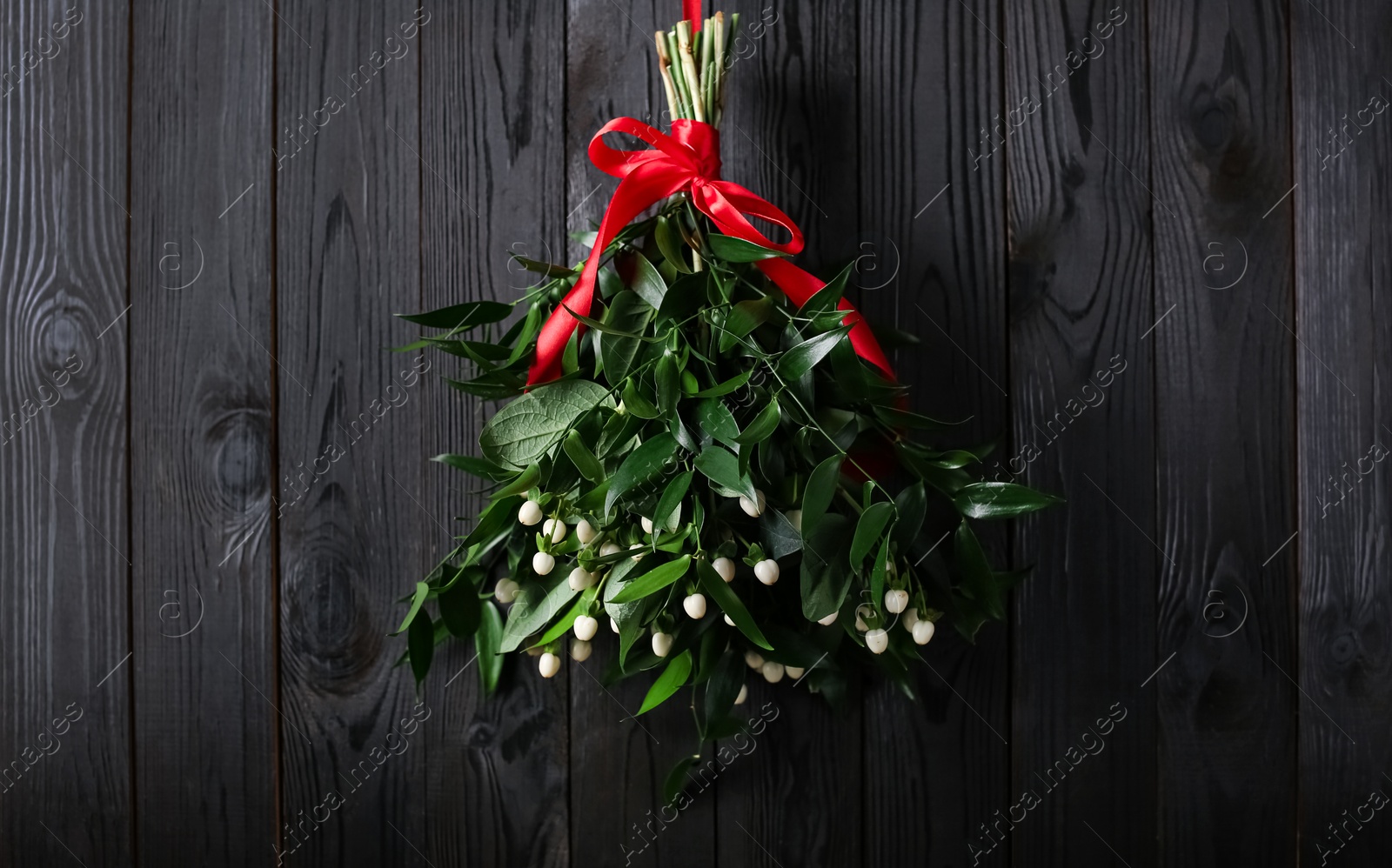 Photo of Mistletoe bunch with red bow hanging on dark wooden wall. Traditional Christmas decor