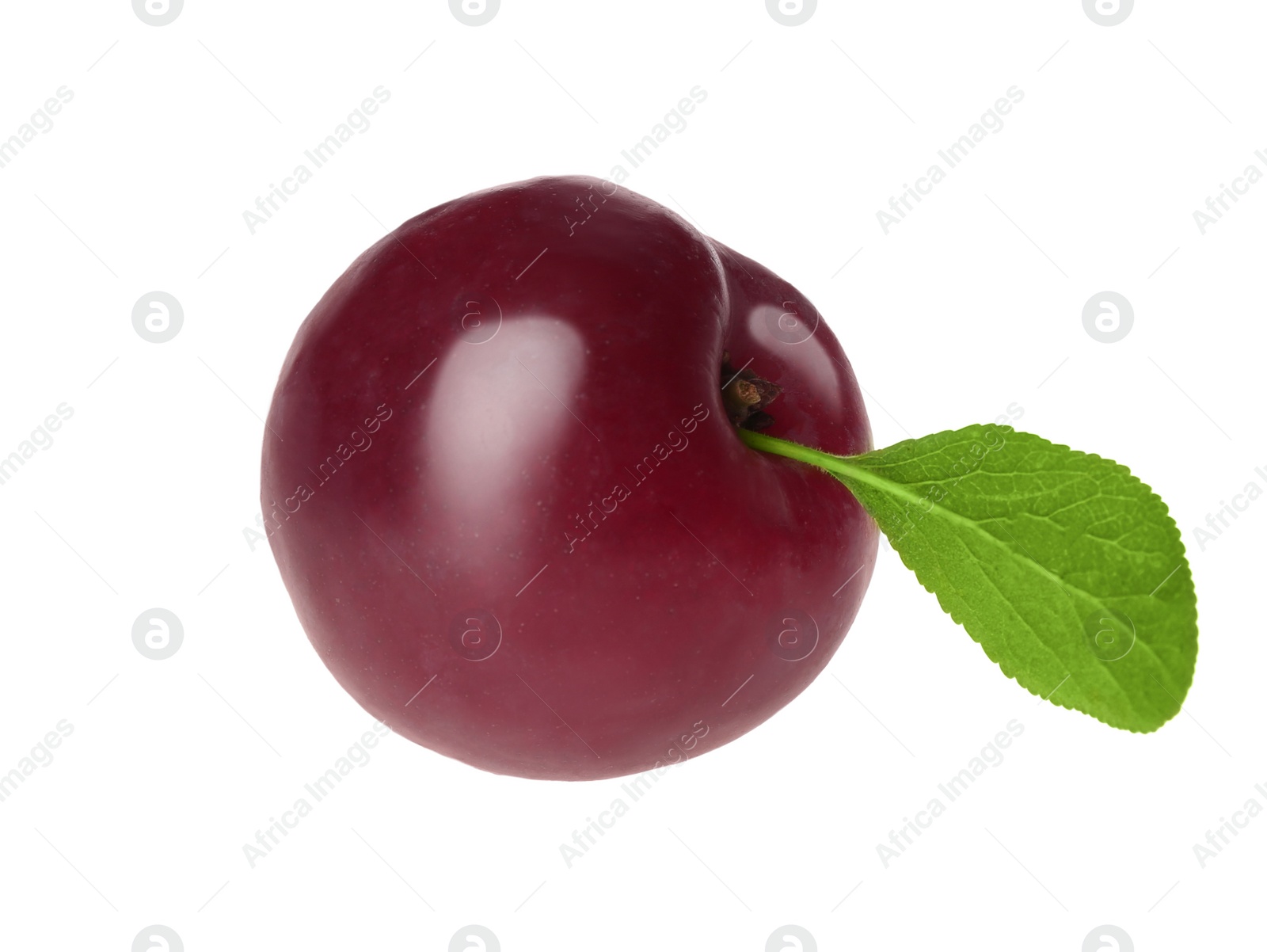 Photo of Delicious ripe plum with leaf isolated on white