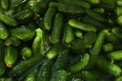 Photo of Many fresh ripe cucumbers in water, above view