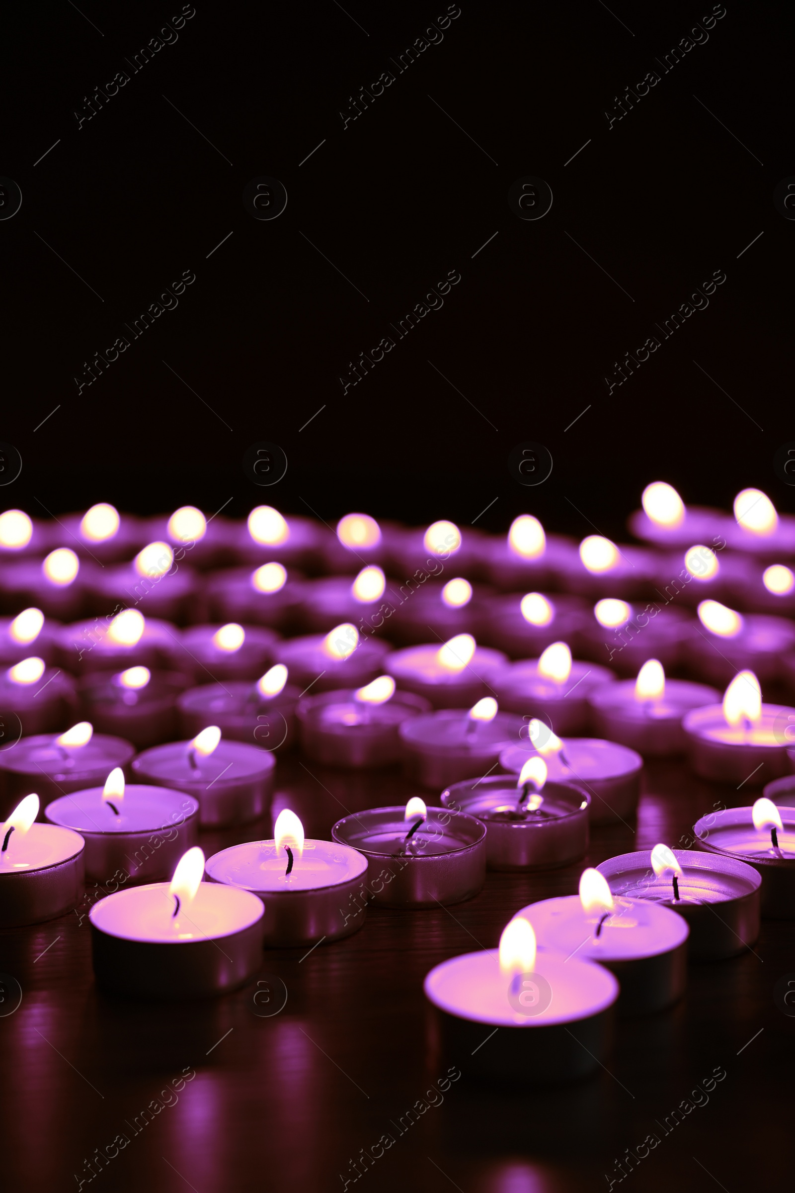 Image of Beautiful burning violet candles on black background. Funeral attributes