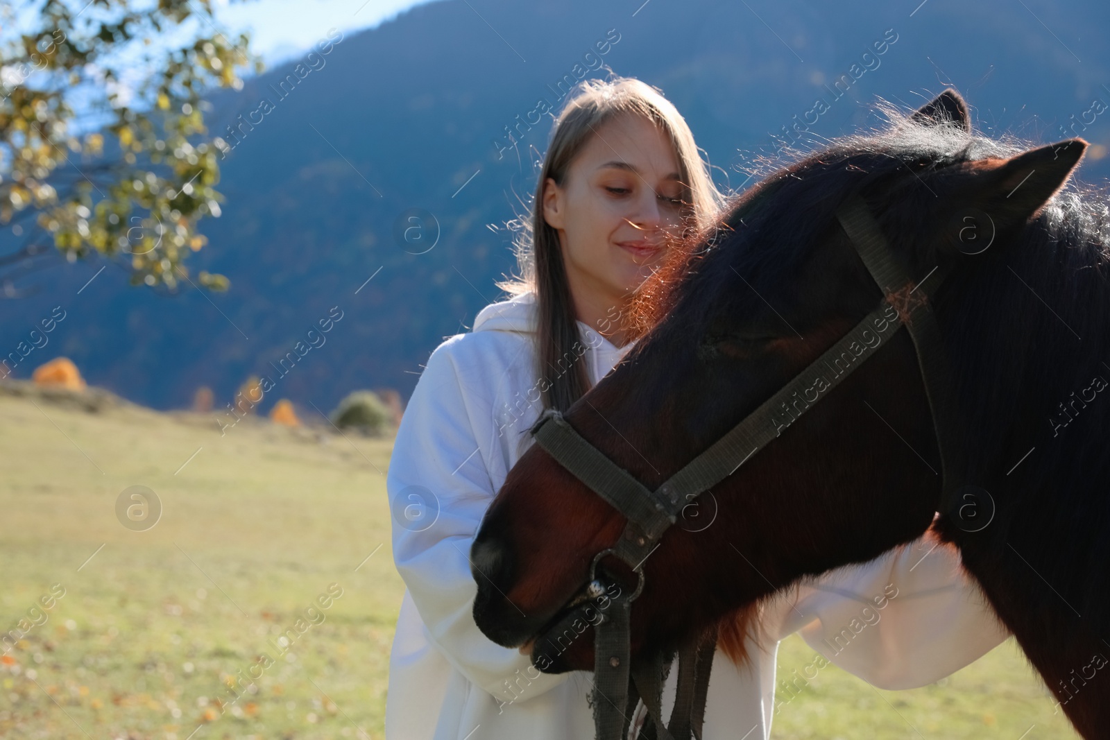 Photo of Young woman with horse in mountains on sunny day. Beautiful pet