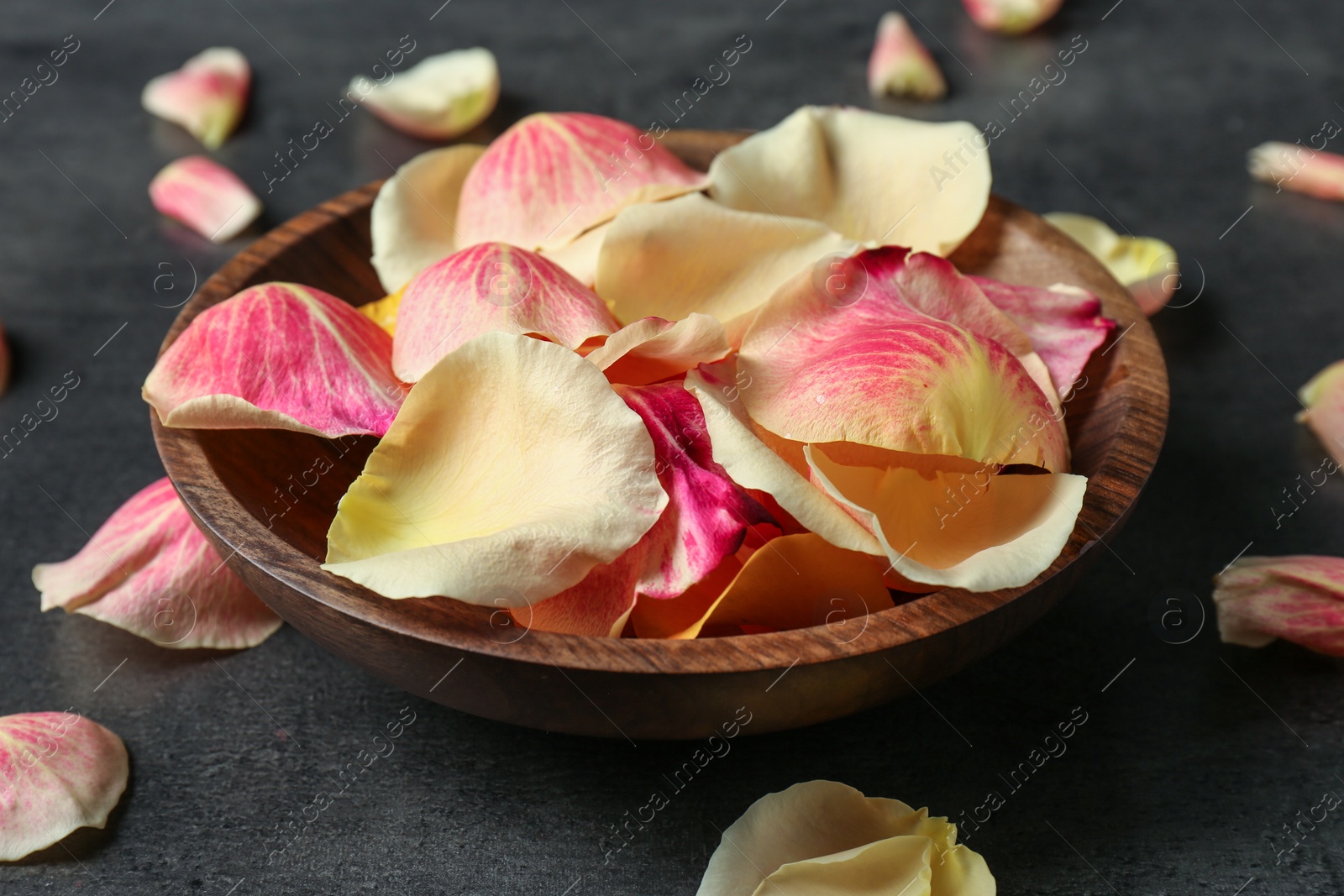 Photo of Plate with rose petals on grey background, closeup