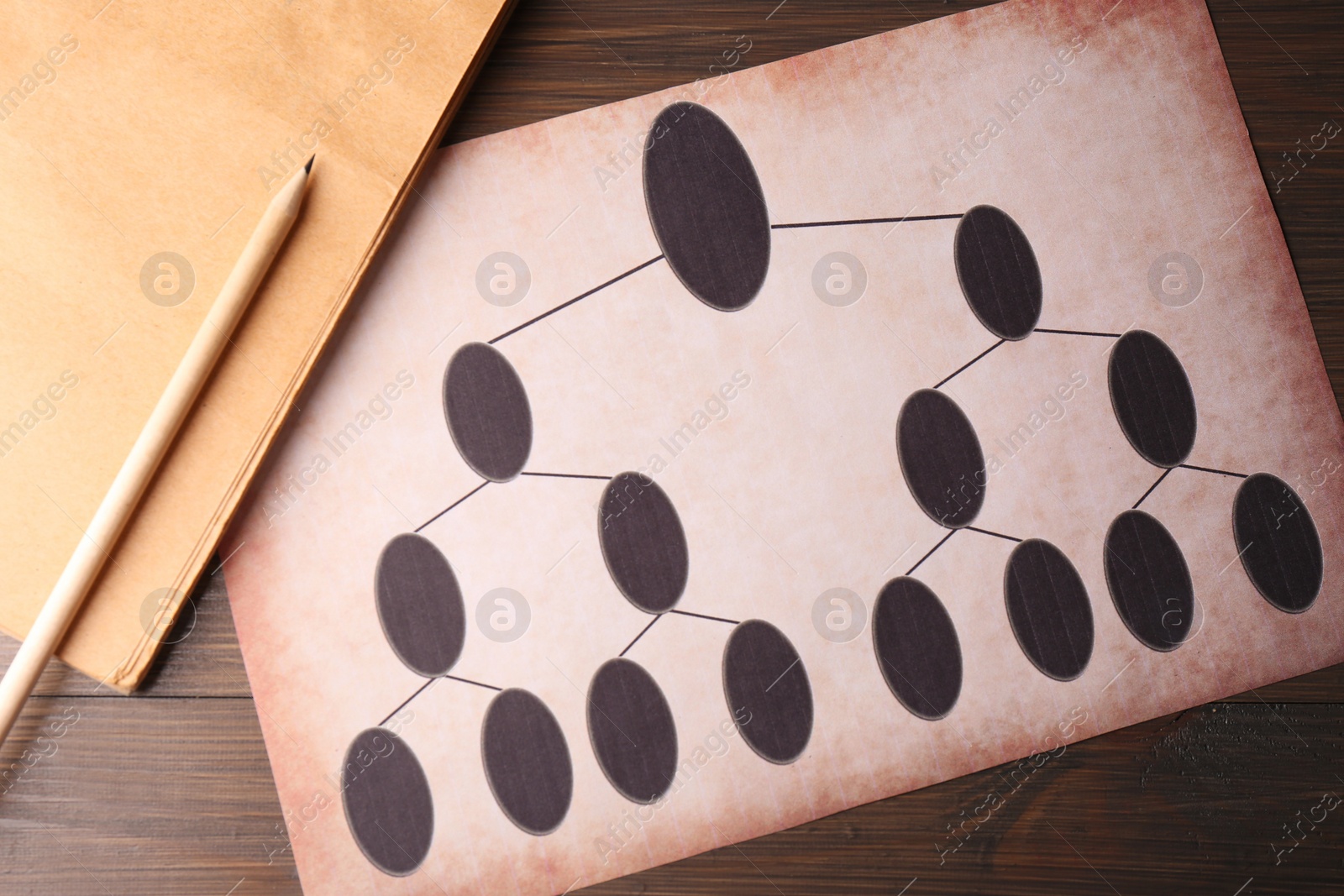 Photo of Blank family tree, notebook and pencil on wooden table, flat lay. Mockup for design