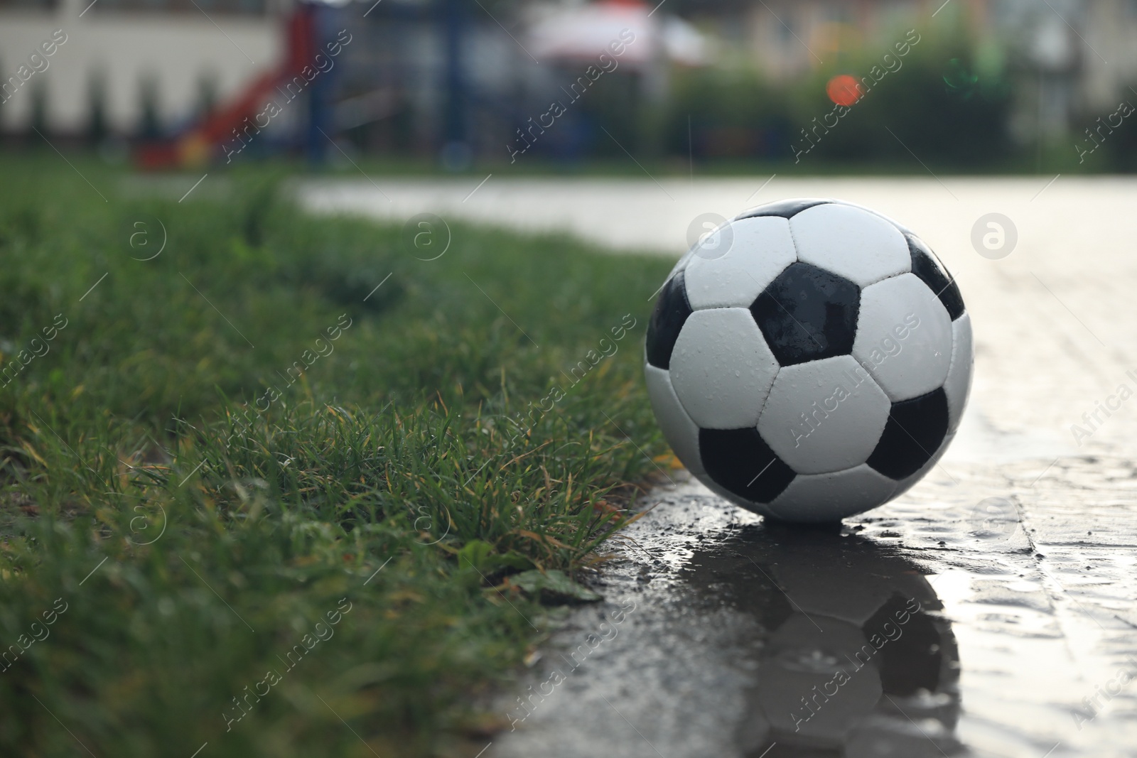 Photo of Wet leather soccer ball on street, space for text