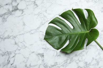 Leaf of tropical monstera plant on marble background, top view with space for text