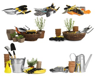 Image of Set of different gardening tools on white background