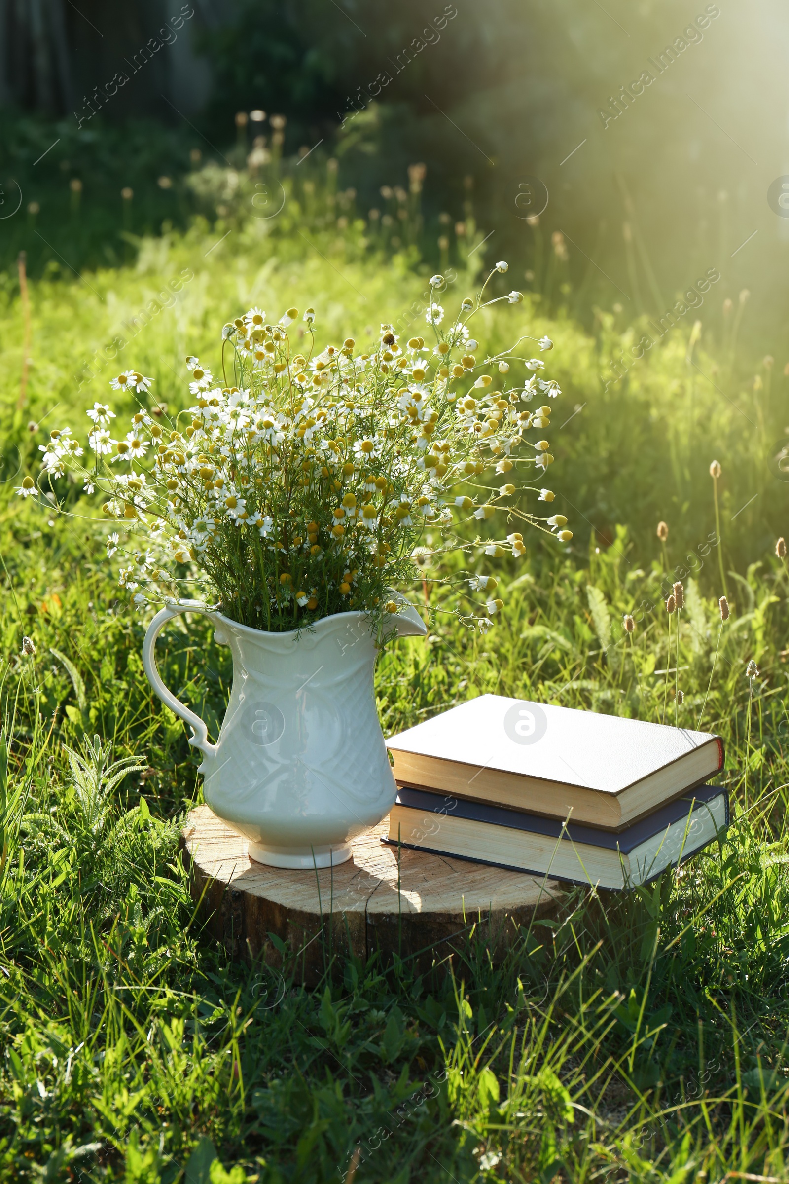 Photo of Books and jug with chamomiles on green grass outdoors