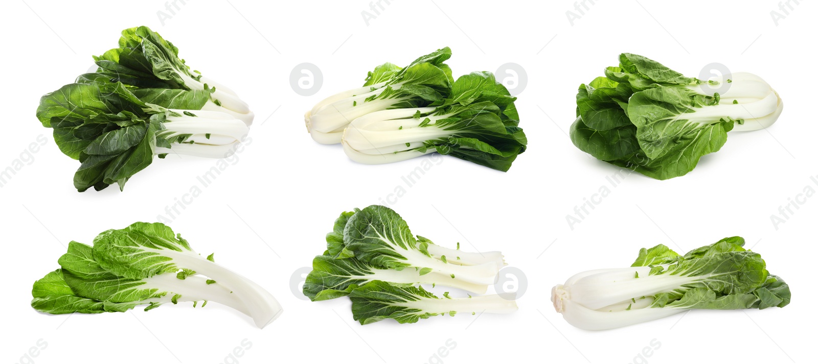 Image of Collage with fresh pak choy cabbages and leaves on white background