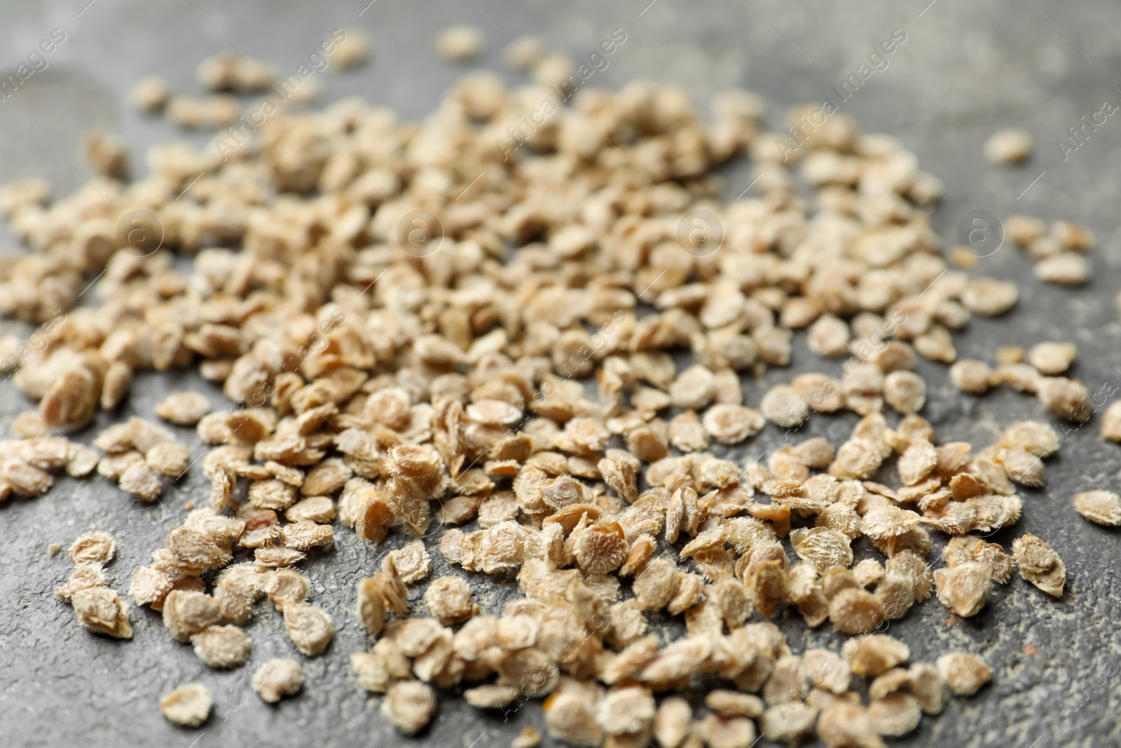 Photo of Raw tomato seeds on grey background, closeup. Vegetable planting