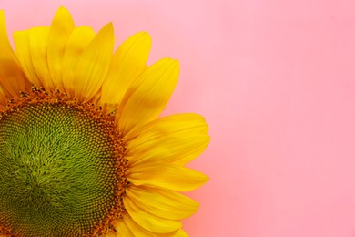 Photo of Beautiful sunflower on pink background, top view. Space for text