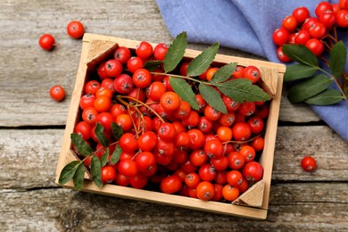 Fresh ripe rowan berries with green leaves on wooden table, flat lay