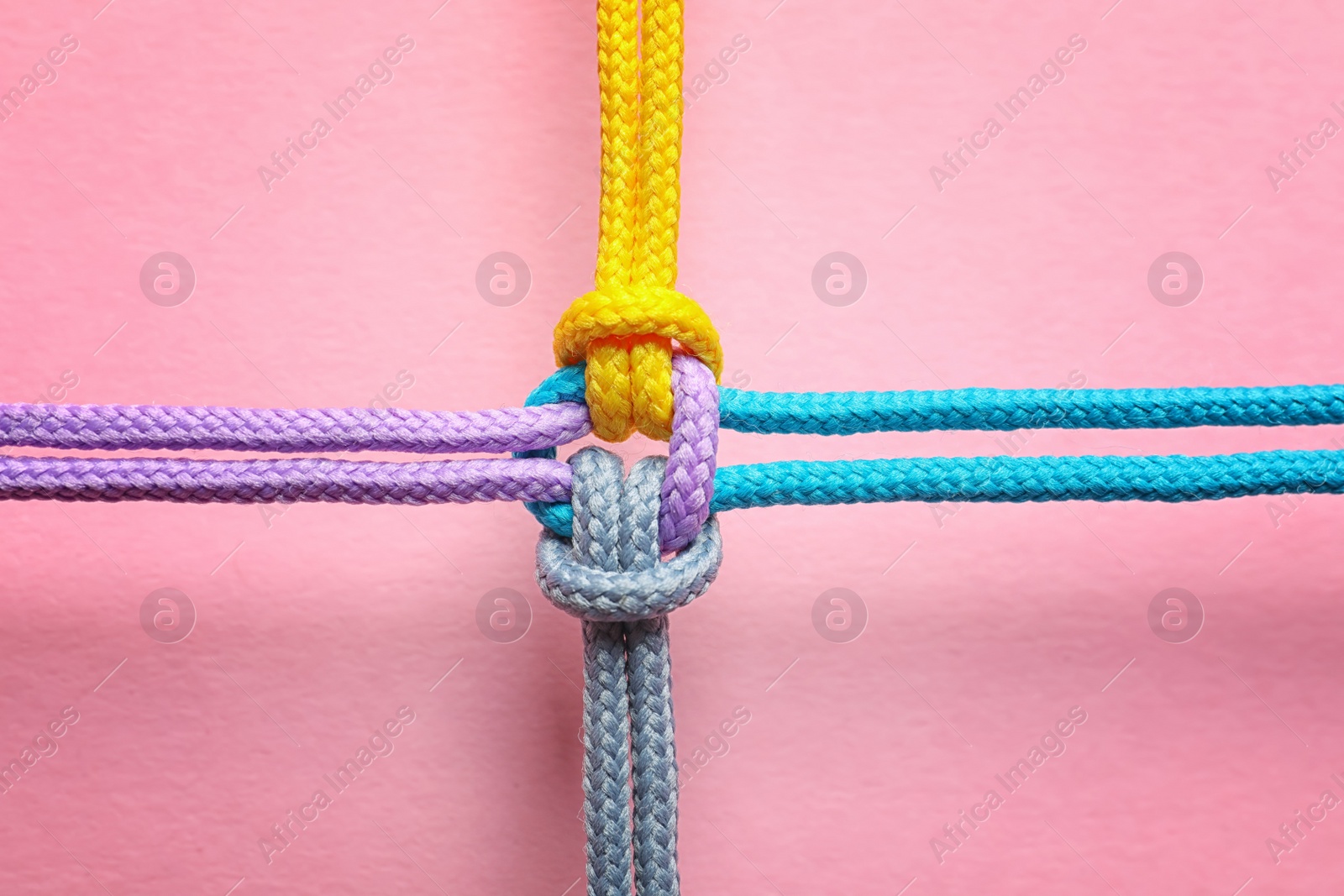 Photo of Different ropes tied together with knot on color background. Unity concept