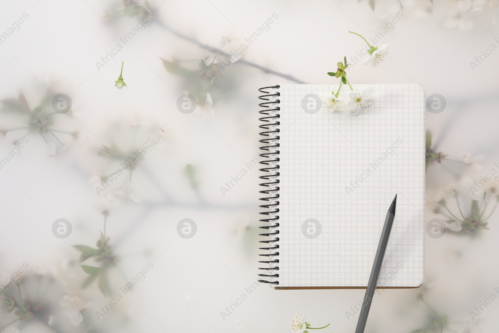 Photo of Guest list. Notebook, pencil and beautiful cherry tree blossoms on spring floral background, flat lay. Space for text