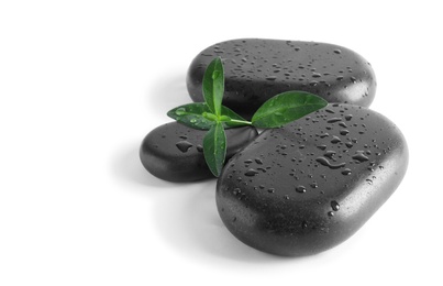 Photo of Spa stones and green leaves with water drops on white background