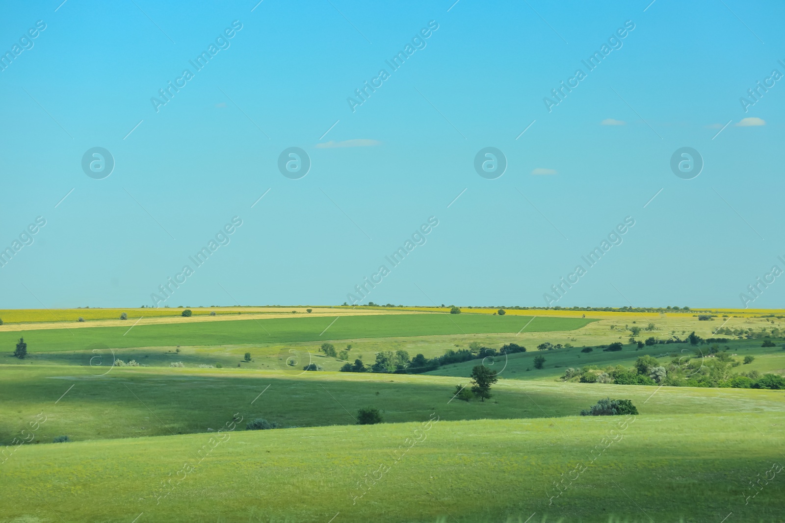 Photo of Beautiful landscape with green grass on sunny day