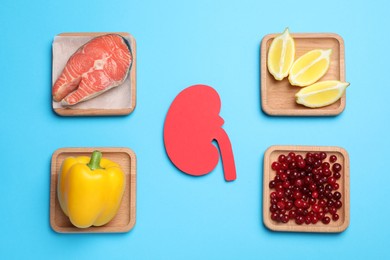 Photo of Paper cutout of kidney and different healthy products on light blue background, flat lay