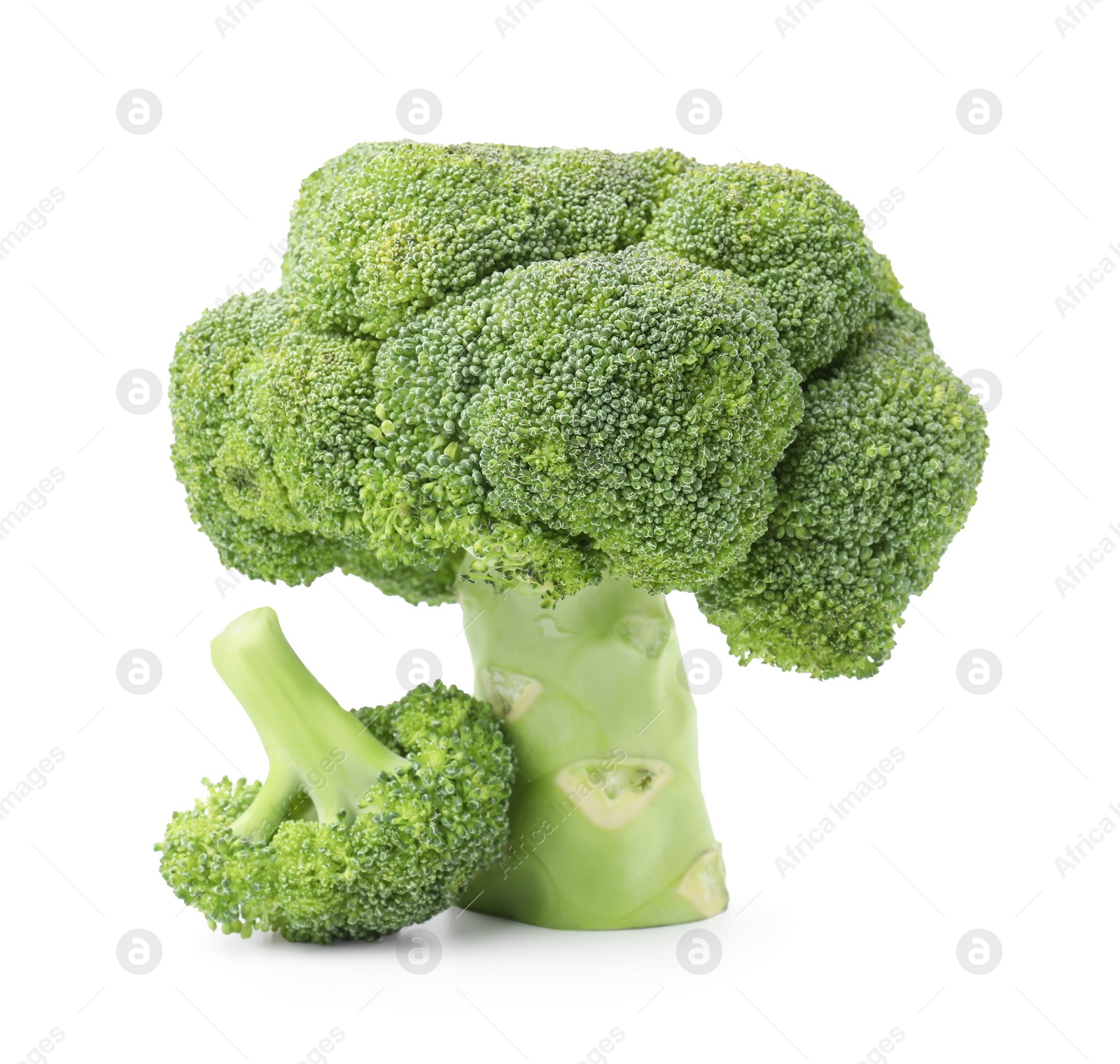 Photo of Fresh raw green broccoli isolated on white