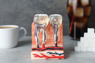 Photo of Educational model of jaw section with teeth and sugar on grey table