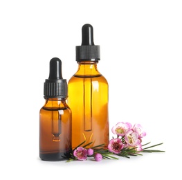 Bottles of natural oil and tea tree branch on white background