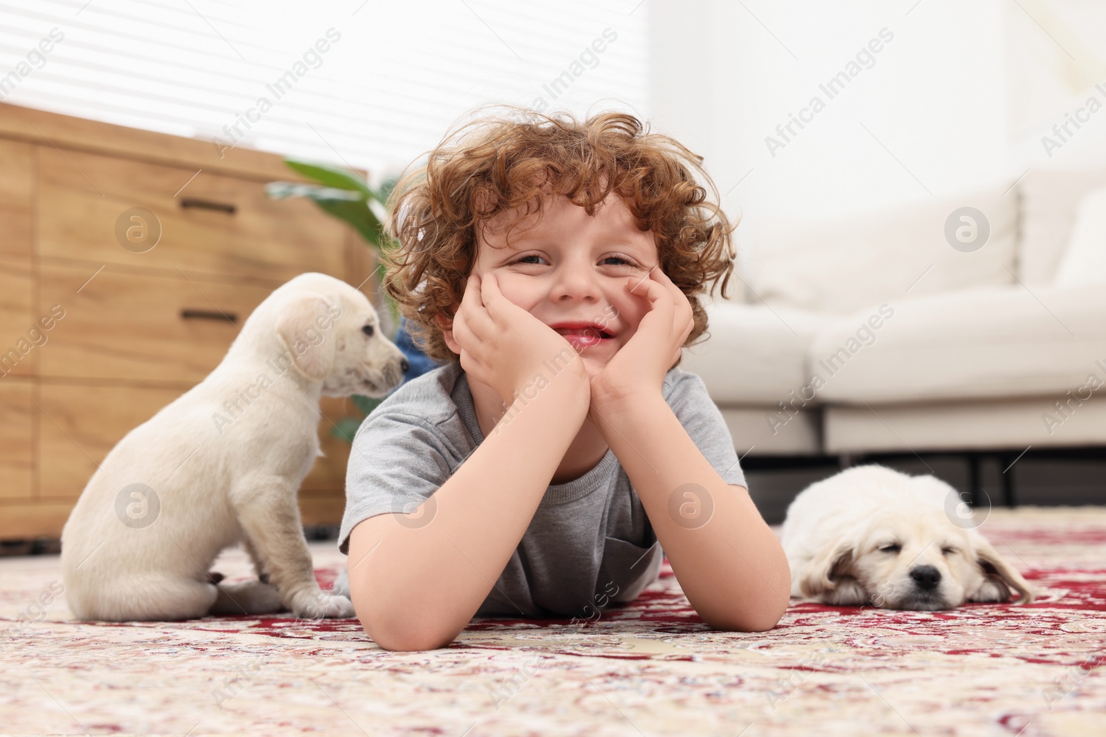 Photo of Little boy with cute puppies on carpet at home