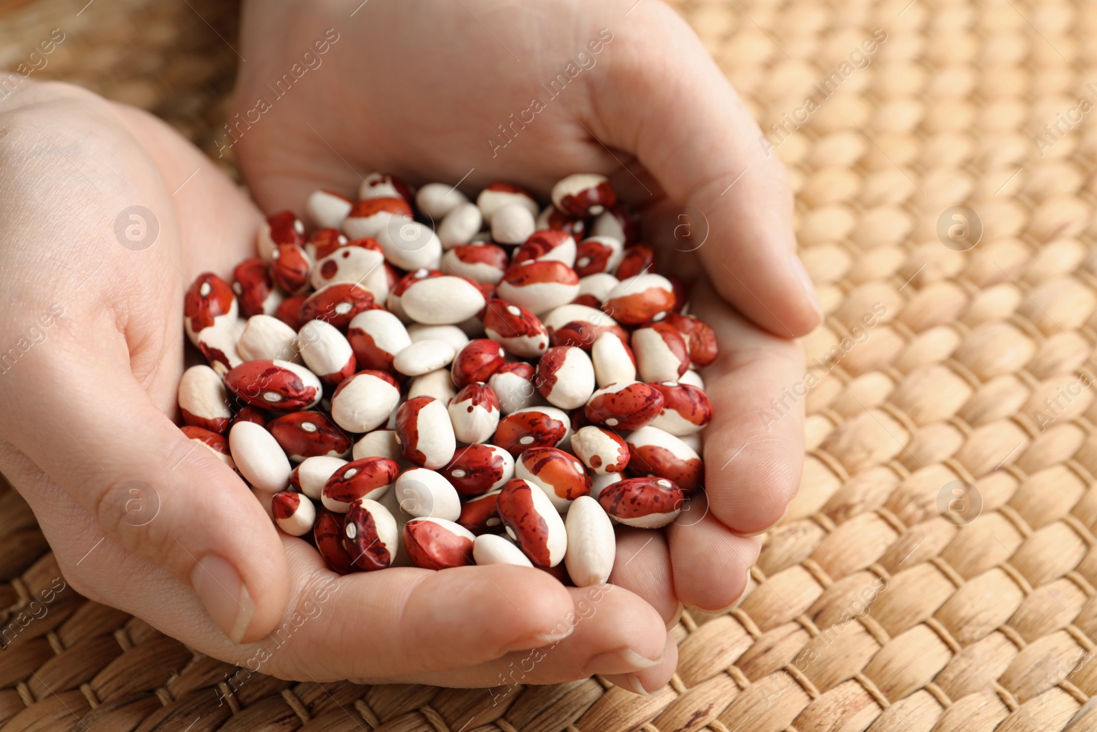 Photo of Woman holding pile of beans over wicker table, closeup. Vegetable seeds planting