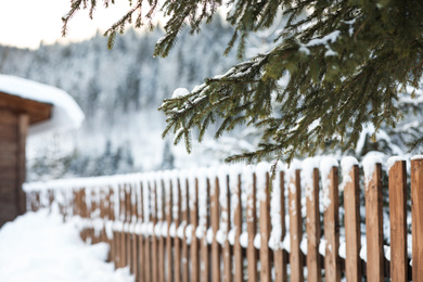 Photo of Snowy fir branches and wooden fence outdoors. Winter vacation