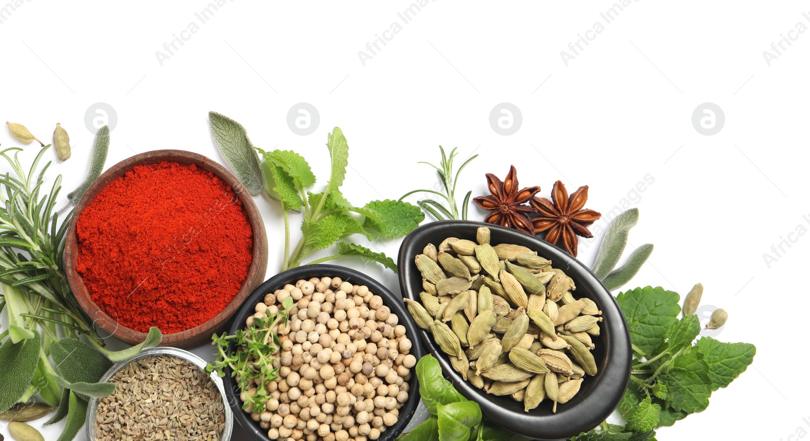 Photo of Different fresh herbs with aromatic spices on white background, top view