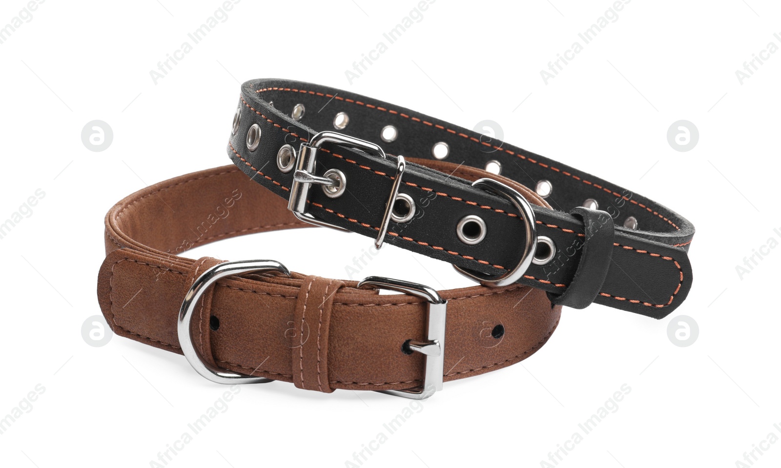 Photo of Different leather dog collars on white background