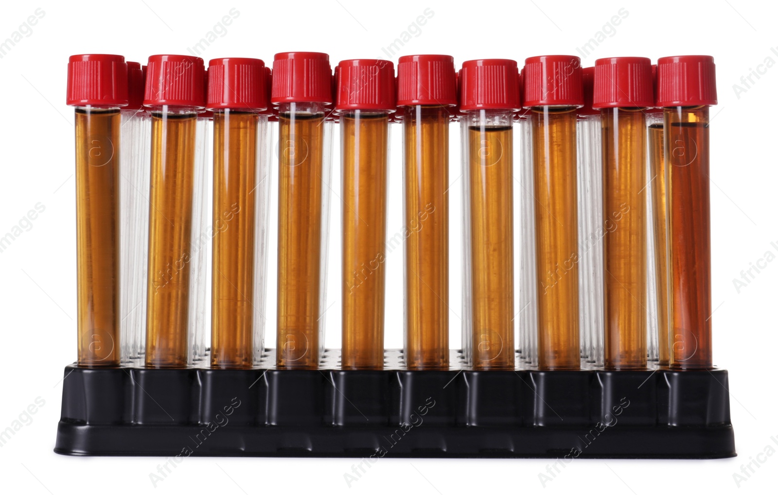 Photo of Test tubes with brown liquid in stand on white background