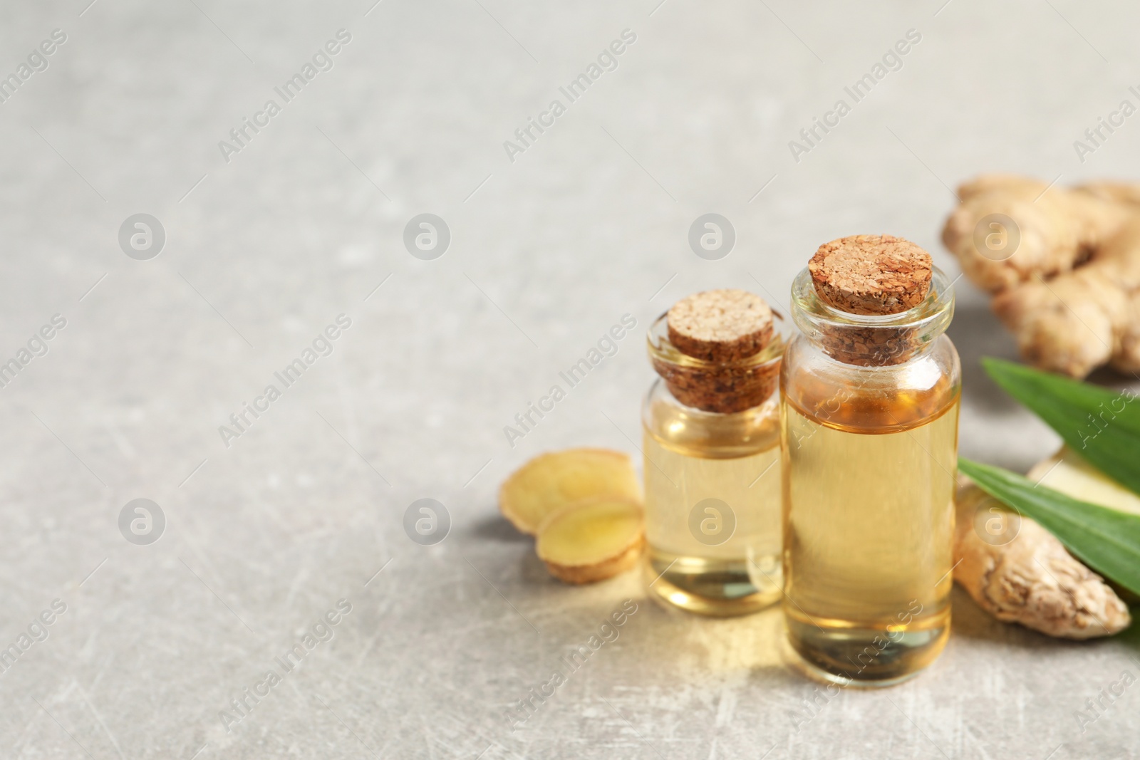 Photo of Ginger essential oil in bottles on light grey marble table. Space for text