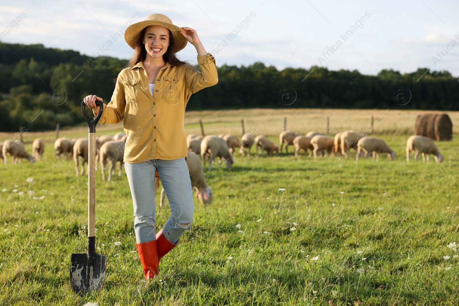 Photo of Portrait of smiling woman with shovel on pasture at farm. Space for text