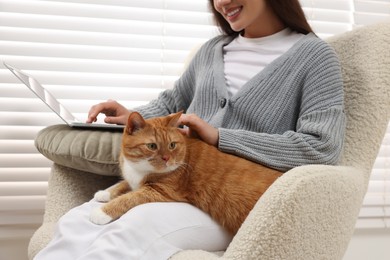 Photo of Woman working with laptop and petting cute cat at home, closeup