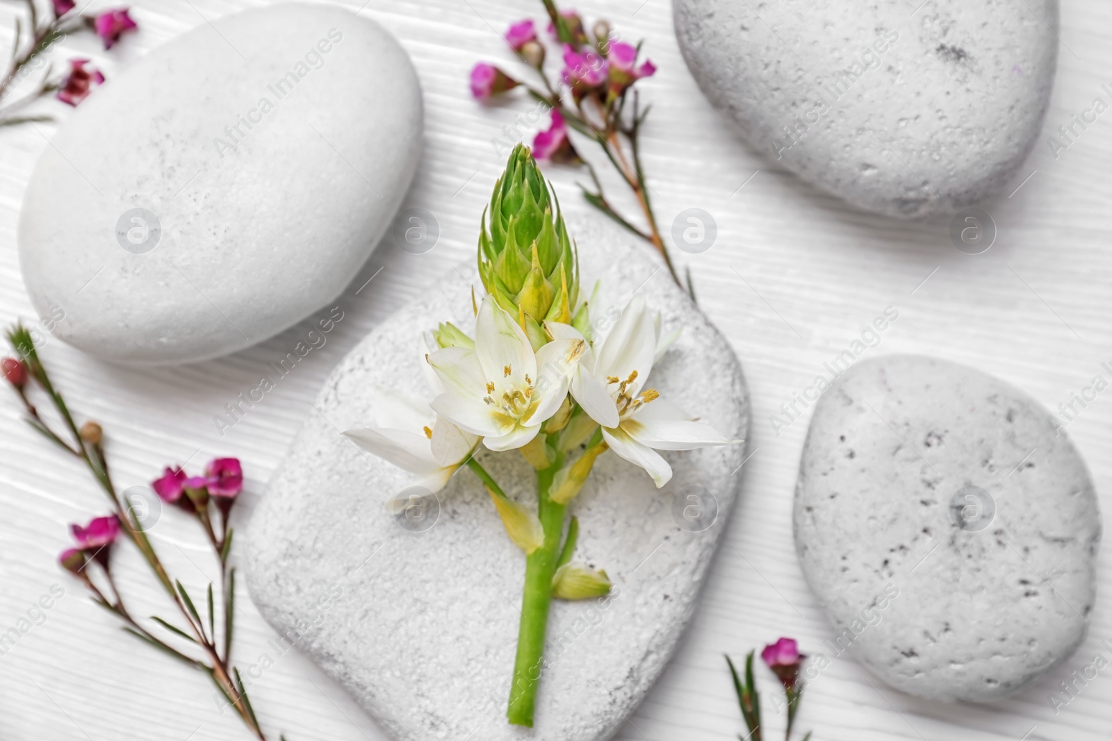 Photo of Spa stones and beautiful flowers on wooden background