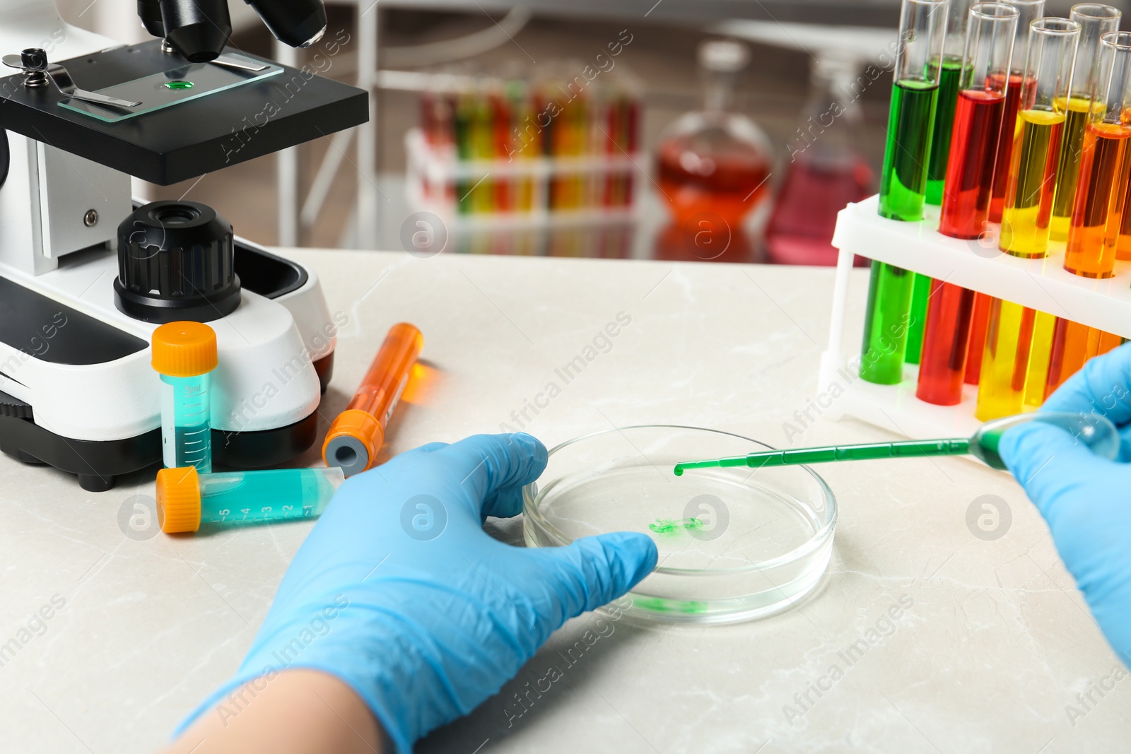 Photo of Scientist dripping reagent into Petri dish with sample in chemistry laboratory, closeup