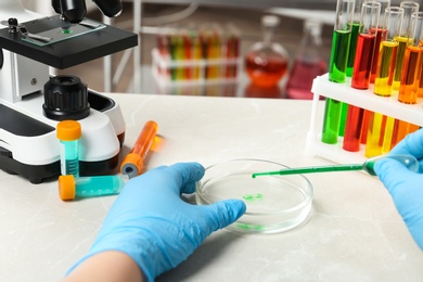 Photo of Scientist dripping reagent into Petri dish with sample in chemistry laboratory, closeup