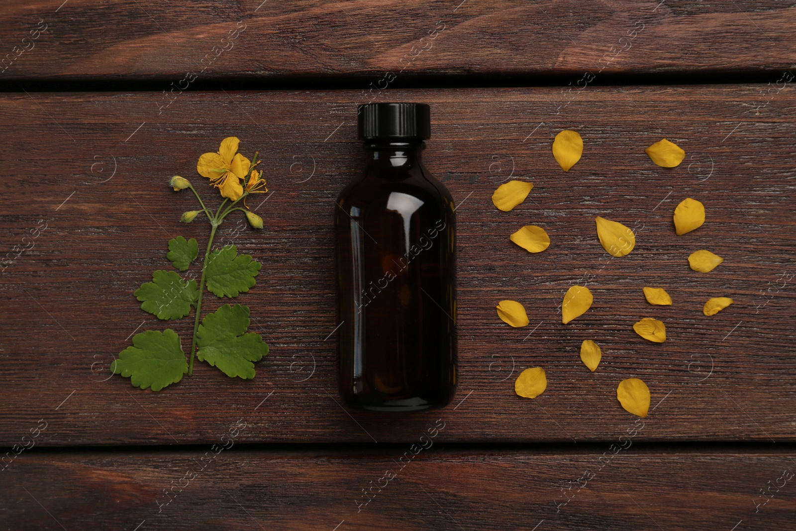 Photo of Bottle of celandine tincture and plant on wooden table, flat lay