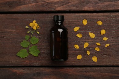 Bottle of celandine tincture and plant on wooden table, flat lay