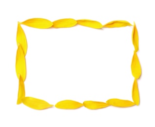 Photo of Frame made with sunflower petals on white background, top view. Space for text