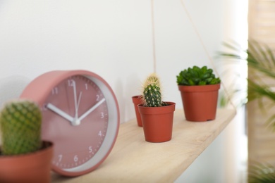 Wooden shelf with clock and plants on white wall. Trendy home interior