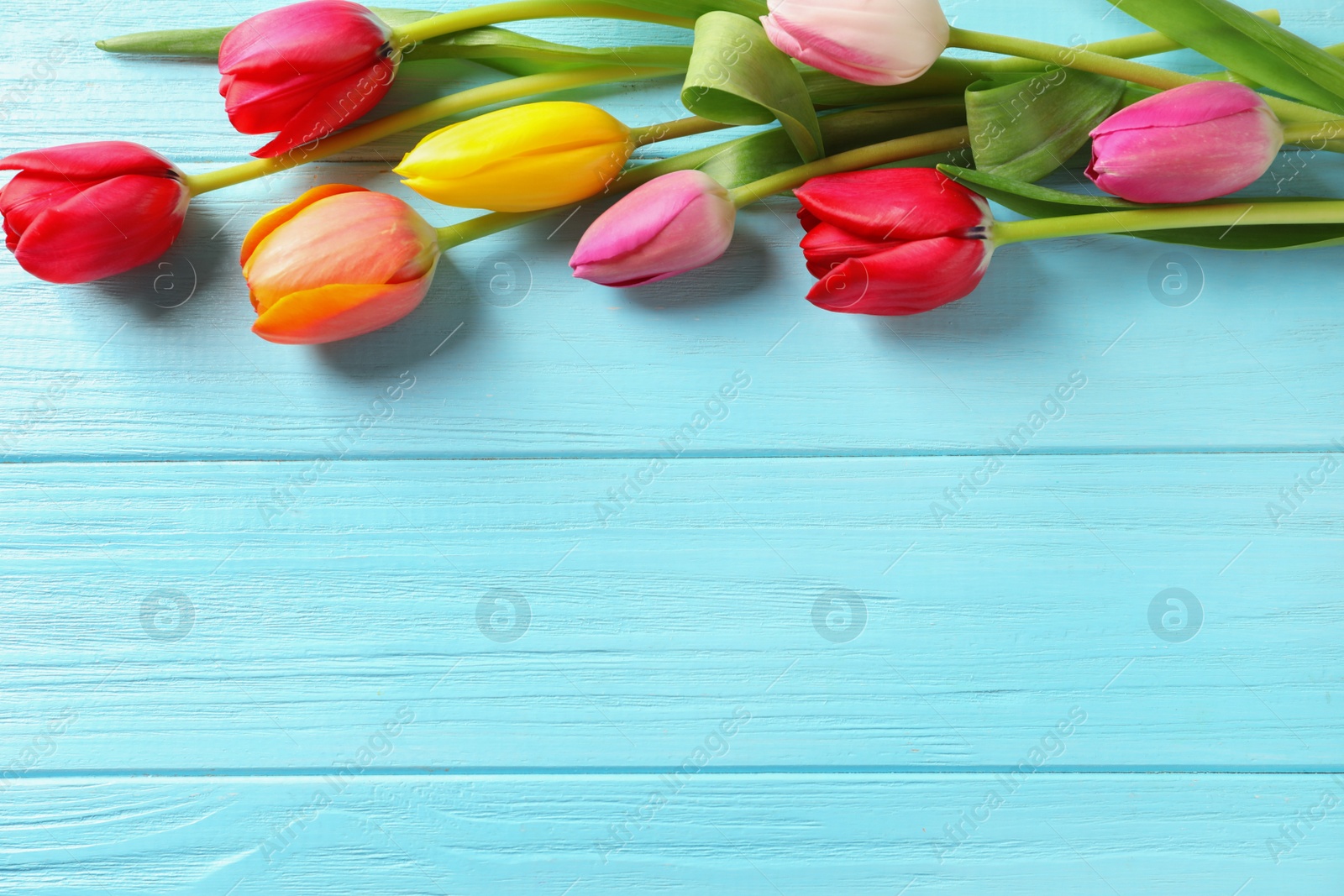 Photo of Beautiful tulips and space for text on wooden background, top view. Spring flowers