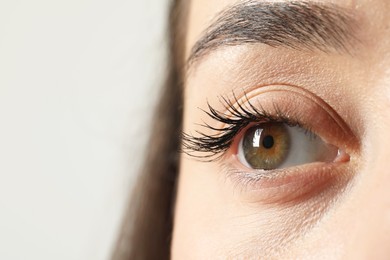 Macro photo of woman with beautiful eyes on light background. Space for text