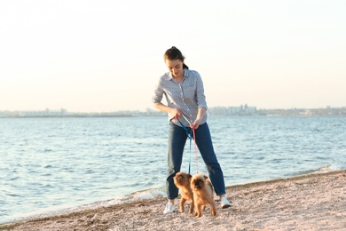 Photo of Young woman walking her adorable Brussels Griffon dogs near river