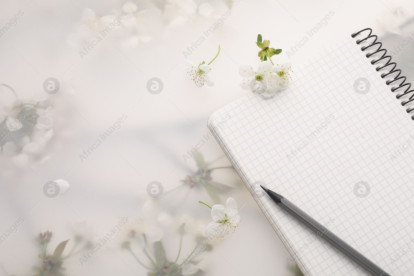 Photo of Guest list. Notebook, pencil and beautiful cherry tree blossoms on spring floral background, flat lay. Space for text