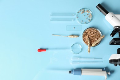 Food Quality Control. Microscope, petri dishes with wheat grains and other laboratory equipment on light blue background, flat lay. Space for text