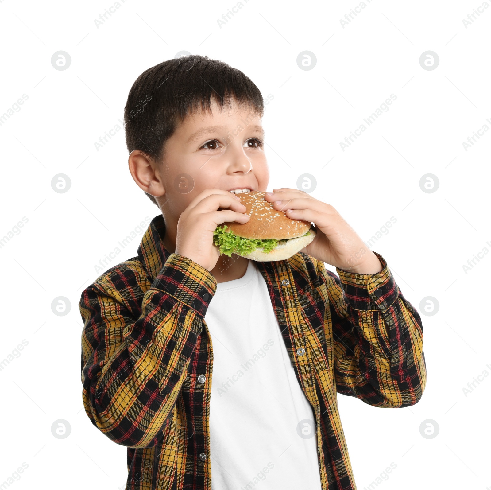 Photo of Happy boy eating sandwich on white background. Healthy food for school lunch