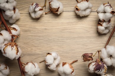 Photo of Dry cotton branches with fluffy flowers on wooden table, flat lay. Space for text